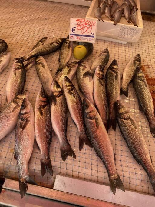 Casa Del Pescatore Di Ortigia Сиракузы Экстерьер фото